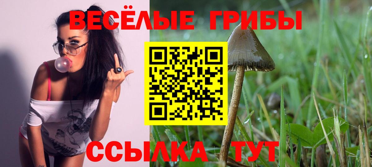 Галлюциногенные грибы Cubensis  Вход с VPN  Южно-Сахалинск 